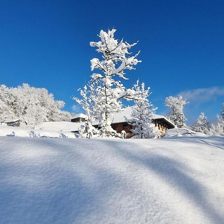 مبيت وإفطار Marthod Le Refuge Du Montagnard المظهر الخارجي الصورة