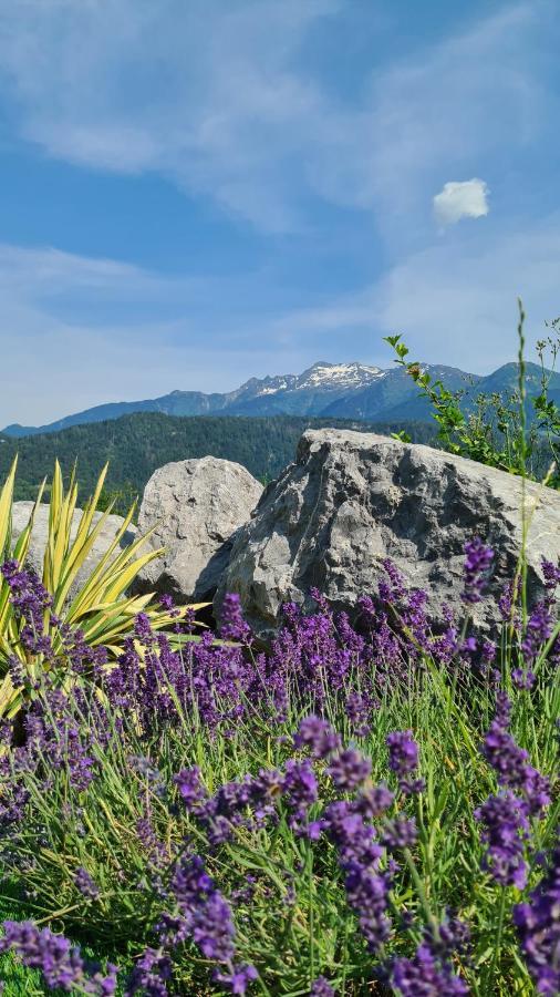 مبيت وإفطار Marthod Le Refuge Du Montagnard المظهر الخارجي الصورة