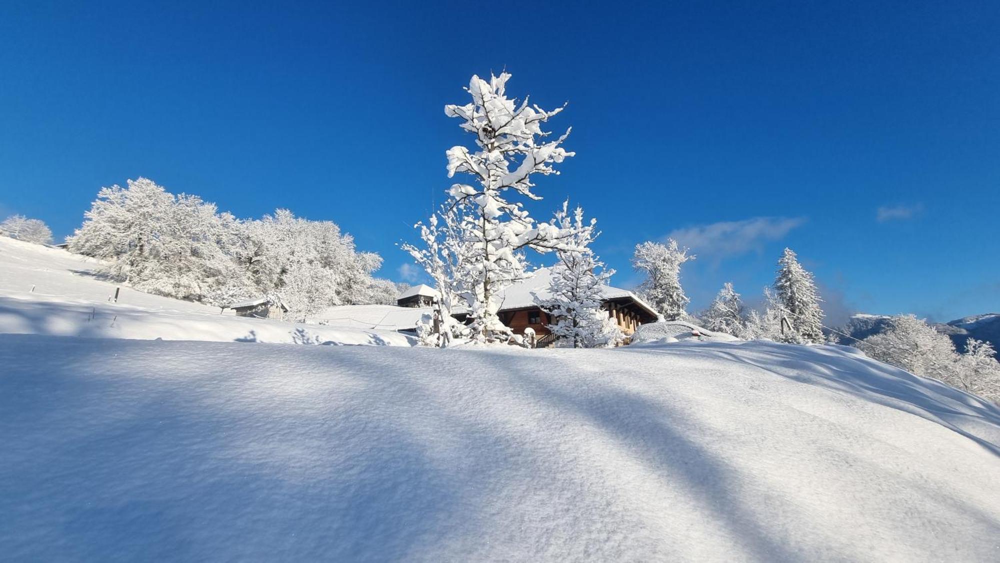 مبيت وإفطار Marthod Le Refuge Du Montagnard المظهر الخارجي الصورة